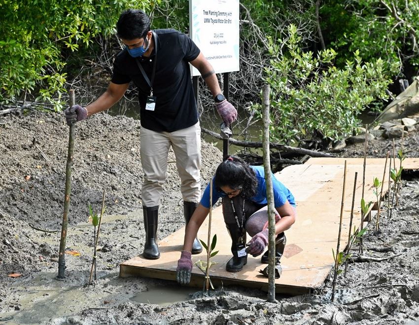 UMW Green Shoots Initiative (UGS)