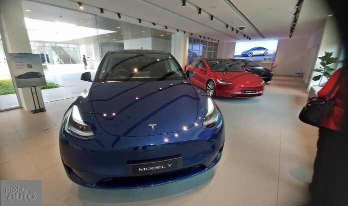 Tesla Model Y and Model 3 EV [2024]