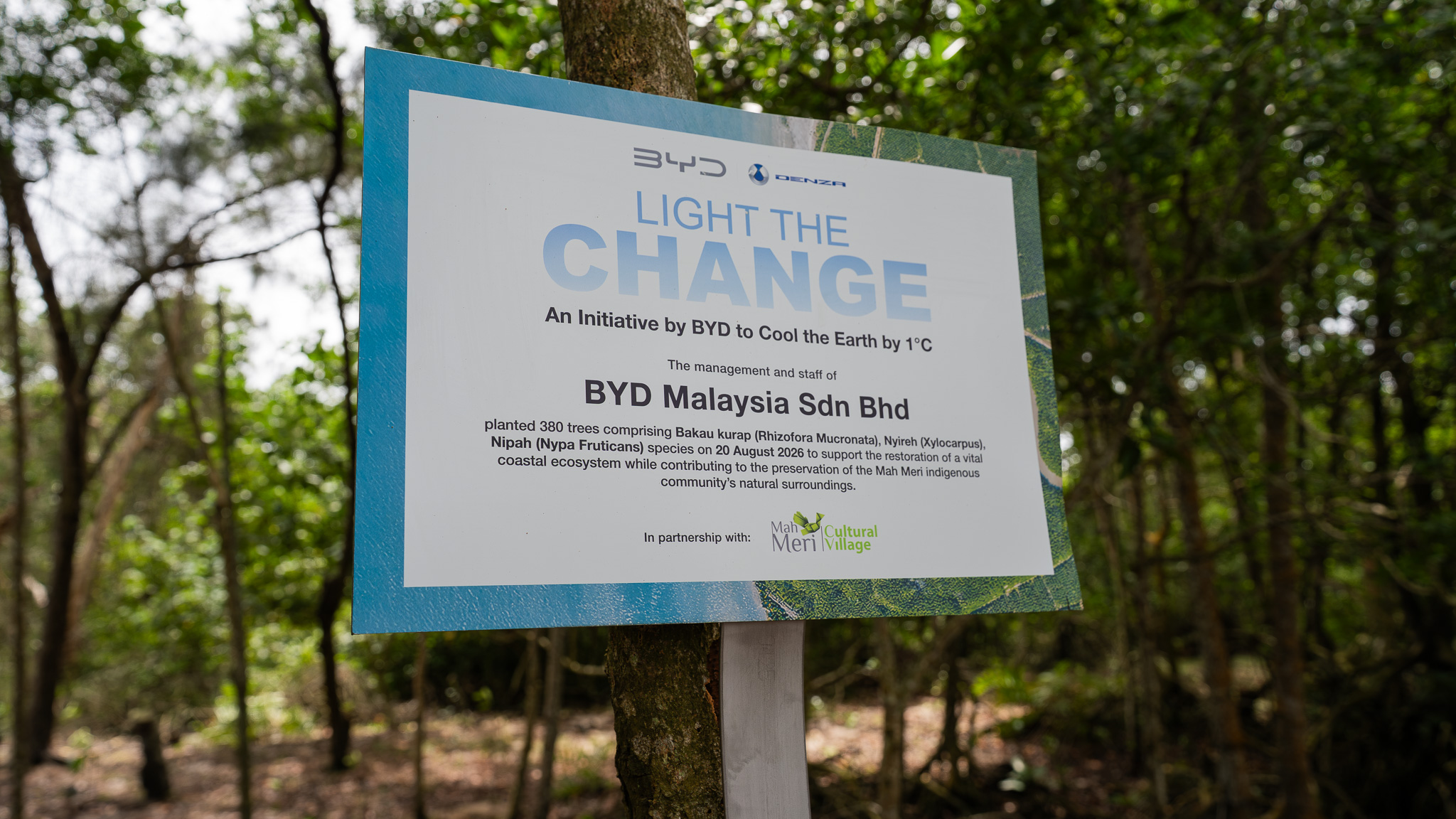BYD Light the Change mangrove-planting [2026]