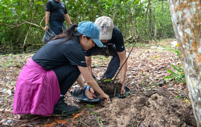 BYD Light the Change mangrove-planting [2026]